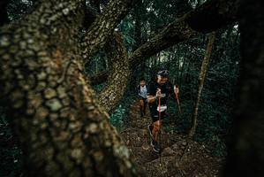 BIB: 
                            <button type="button" onclick="openModal(25696816)" class="btn btn-primary btn-sm float-right btn-popup" data-toggle="modal" data-target=".modal-high-quality">
                        <i class="fas fa-shopping-cart"></i> Add to Cart
                    </button>
                                            <button type="button" onclick="isThisMe(25696816, true)" class="btn btn-success btn-sm float-right btn-popup btn-isme hidden" data-toggle="tooltip" data-placement="bottom" title="นี่คือรูปของคุณใช่ไหม คลิกที่นี่เพื่อเอาเข้าอัลบั้ม">
                        <i class="fas fa-plus"></i> Add to album
                    </button>
                    <button type="button" onclick="isThisMe(25696816, false)" class="btn btn-warning btn-sm float-right btn-popup btn-isnotme hidden">
                        <i class="fas fa-ban"></i> Remove from album
                    </button>